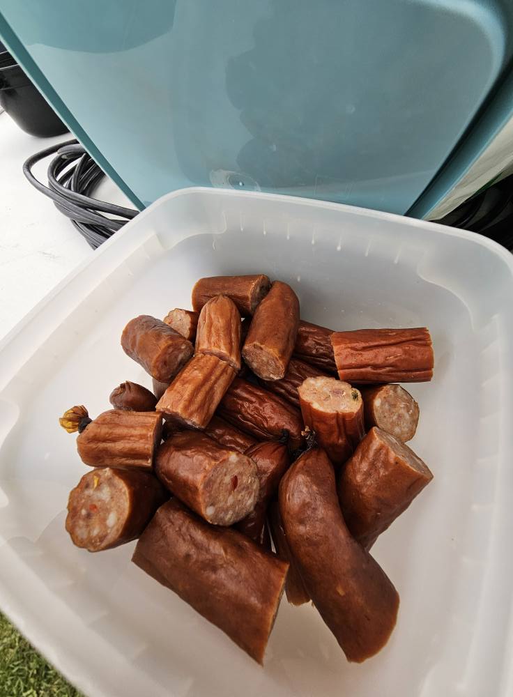 496094763_10232847131274769_3357749229885020336_n