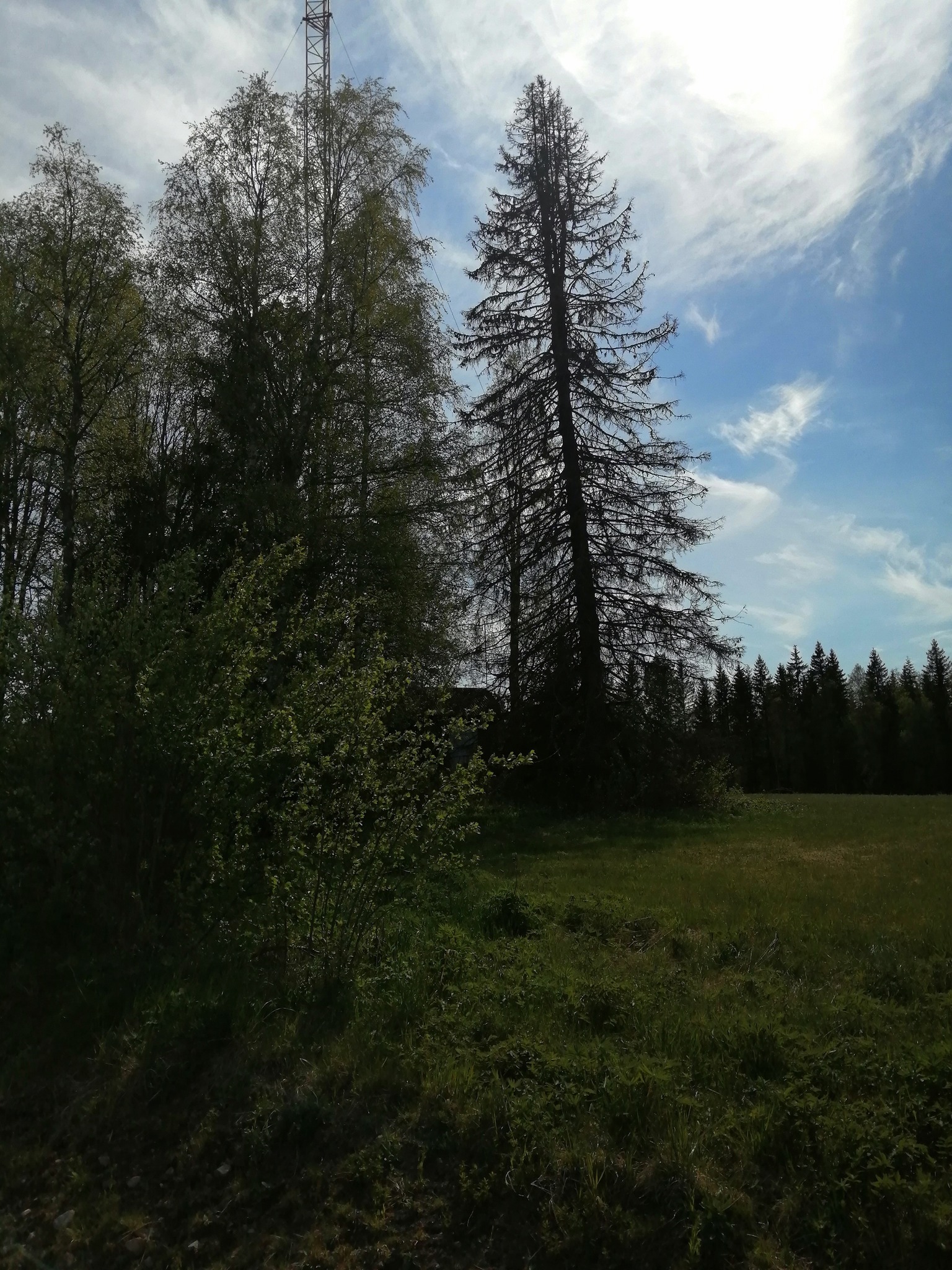 499253752_10161420385596762_4092505714890910375_n