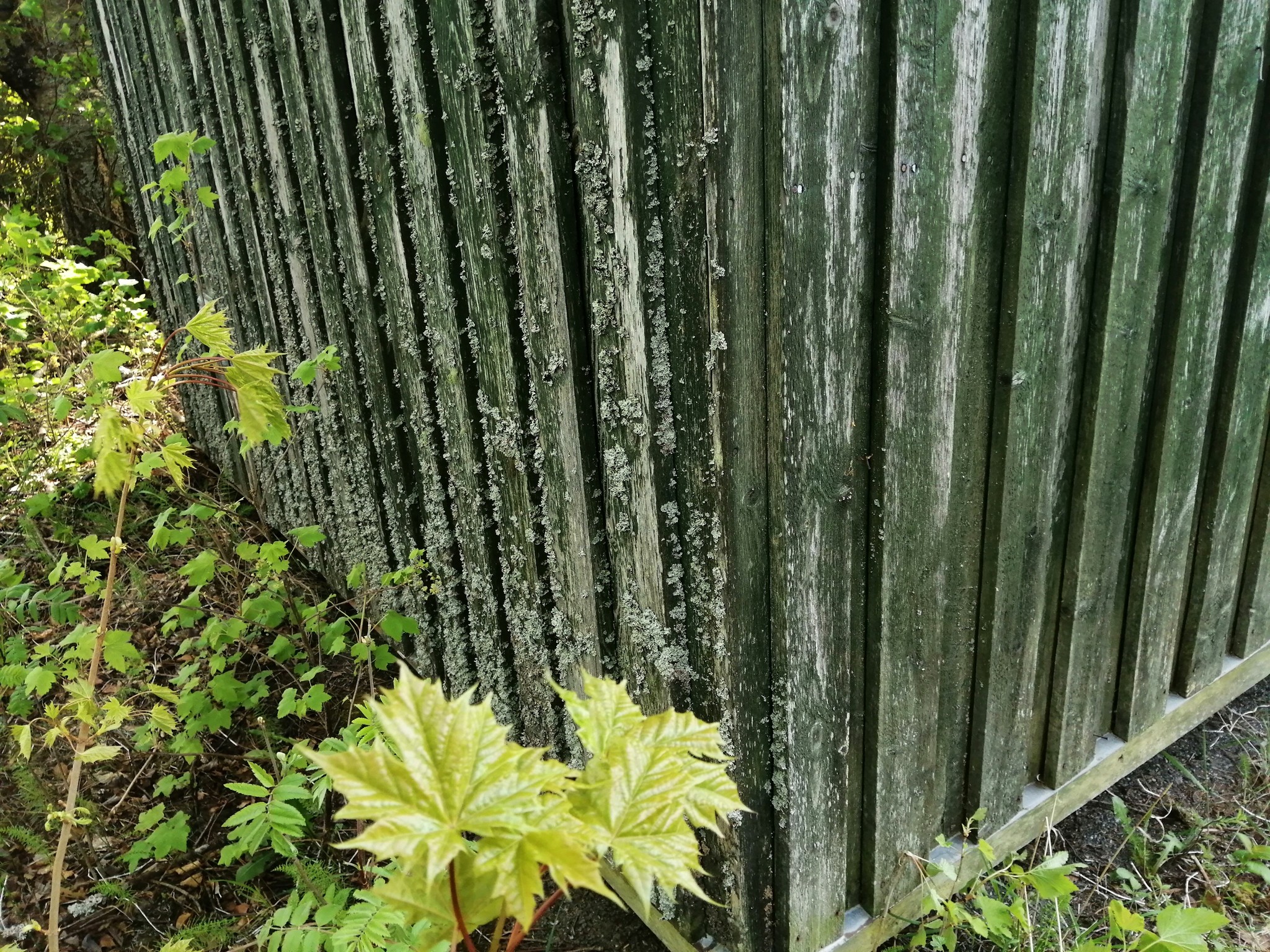 499679540_10161410233241762_3460938988803397976_n