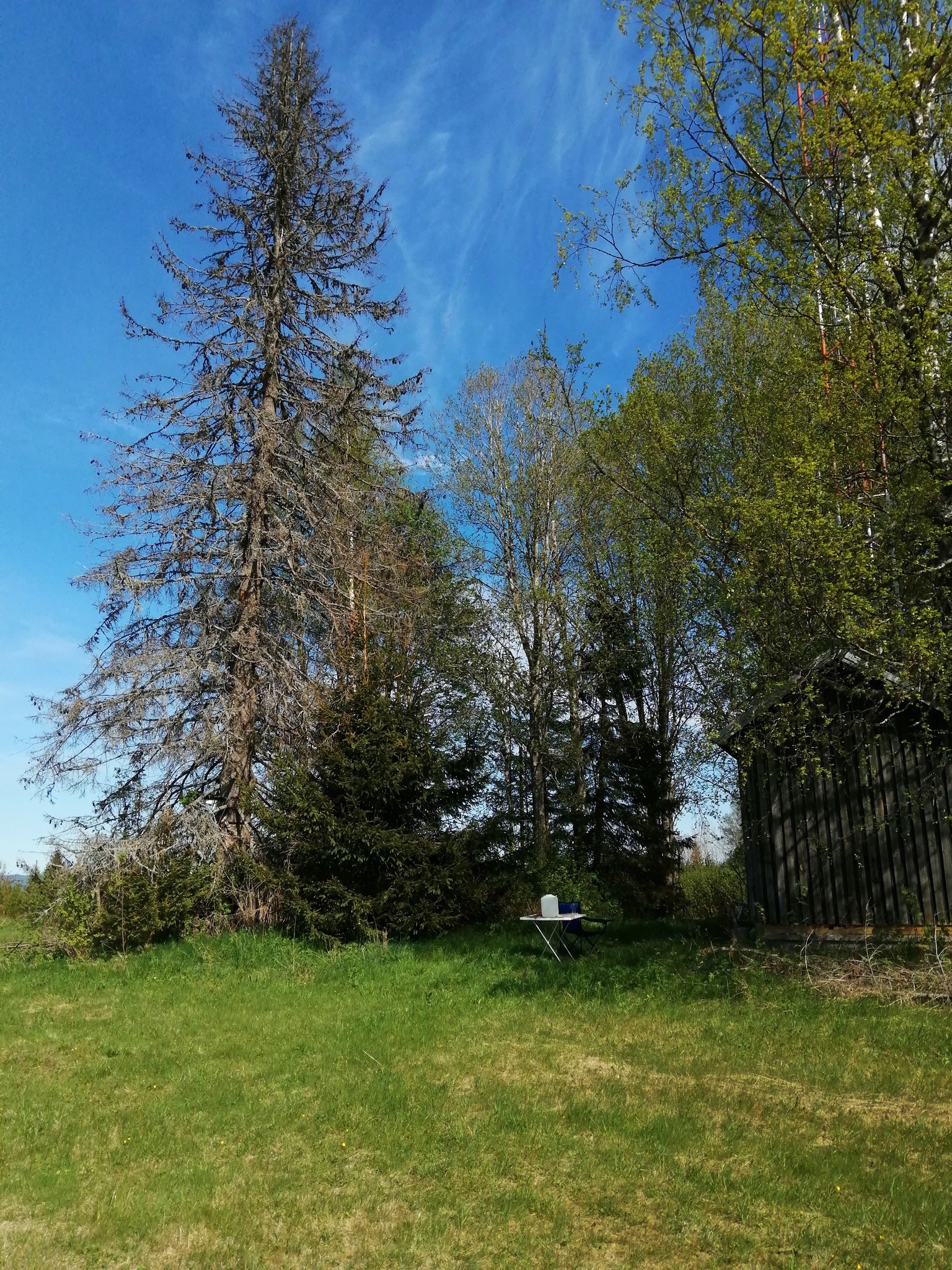 500191036_10161420385896762_5419311959922830857_n